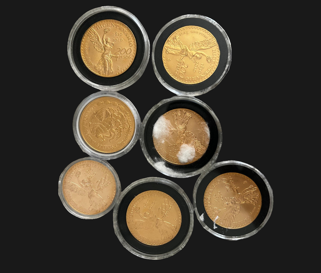 Bicentenario 22k (21.6k) Solid Gold Coin 2010 (abrasions/Stains/scratched)